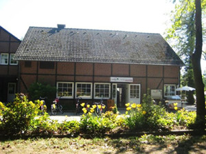 Waldcafe_Frontal_Tulpen